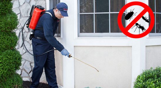 Nazımiye Kemirgen İlaçlama böcek ilaçlama ve haşere kontrolü — ilaclama-tr.com